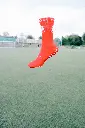 DSCF7493.webp