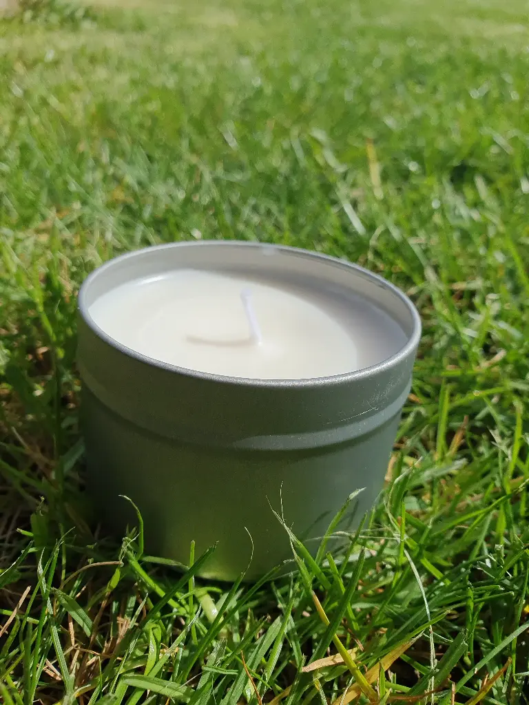 Plant candles