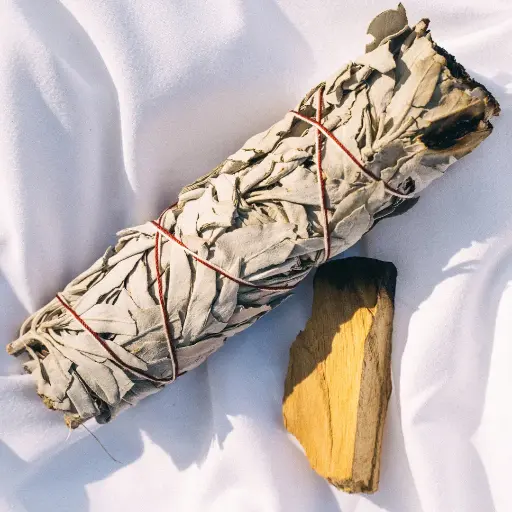 Sauge Blanche Apiana 11cm 25-35g